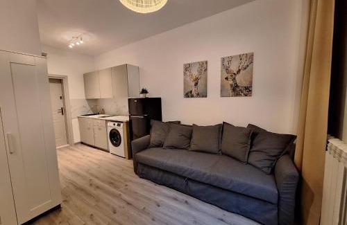 Iwonicz-Zdroj House | Apartamencik Zofiówka