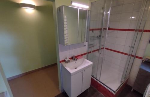 Zła Wies Wielka Apartment | Apartament Łoś i Ryś