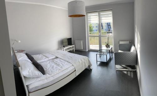 Swidnica Apartment | APARTAMENT ŚMIAŁEGO 9