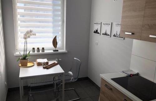 Swidnica Apartment | APARTAMENT ŚMIAŁEGO 9