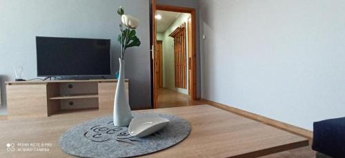 Lapalice Apartment | Apartament 3-go Maja