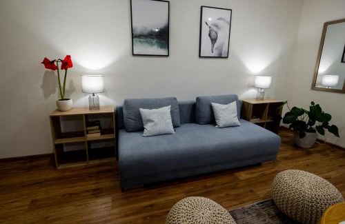 Rybarzowice Apartment | Apartament 3 Pokoje