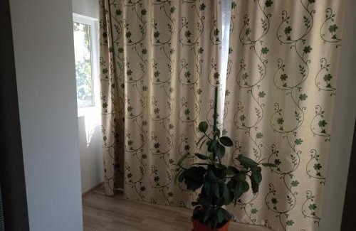 Drobeta-Turnu Severin Apartment | Apartament Alyn
