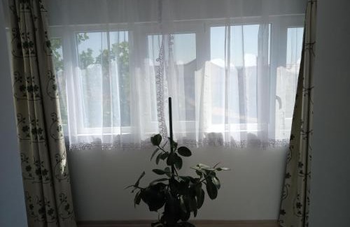Drobeta-Turnu Severin Apartment | Apartament Alyn
