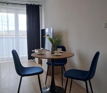 Nowy Sacz Apartment | Apartament Aleje Józefa Piłsudskiego