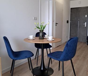 Nowy Sacz Apartment | Apartament Aleje Józefa Piłsudskiego