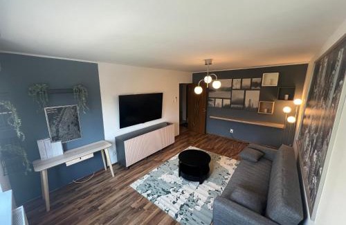 Calimanesti Apartment | Apartament Anya Calimanesti