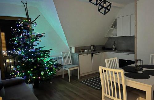 Zab Apartment | Apartament Bioło Izba