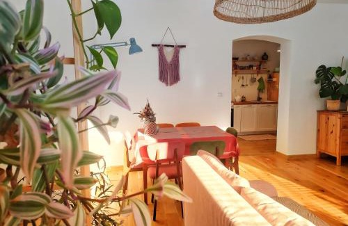 Jedlina-Zdroj Apartment | Apartament Borówka