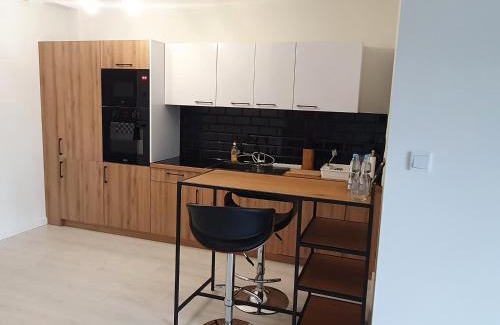 Leszno Apartment | Apartament Business Sienkiewicza