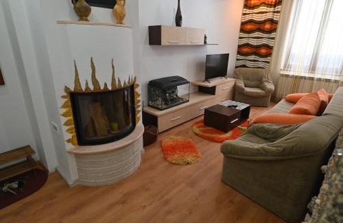 Petrosani Apartment | Apartament Camelia