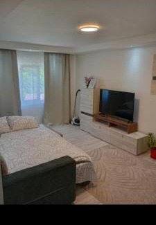 Brezoi Apartment | Apartament Catrys
