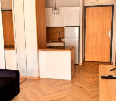 Katowice Apartment | APARTAMENT CEGLANA 55, przy szpitalu okulistycznym, darmowe miejsce w garażu podziemnym, udogodnienia dla niepełnosprawnych