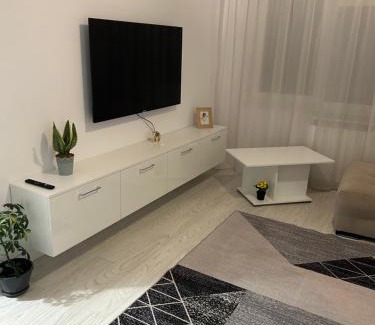 Ramnicu Valcea Apartment | Apartament Central
