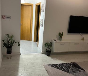 Ramnicu Valcea Apartment | Apartament Central