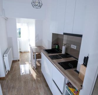 Tirgu Jiu Apartment | Apartament CENTRAL
