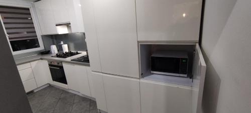 Sosnowiec Apartment | Apartament CENTRUM