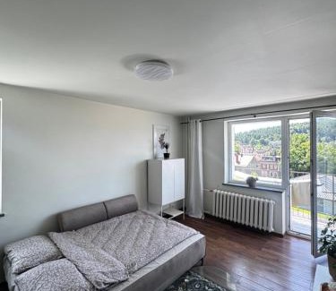 Walbrzych Apartment | Apartament Chełmiec przy Szczawnie-Zdrój