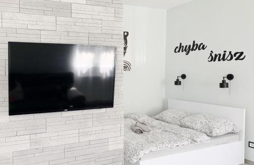 Lancut Apartment | Apartament Chyba Śnisz Łańcut