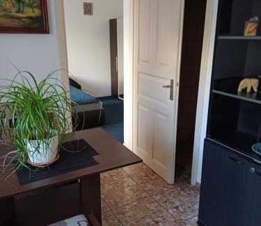 Calea Sever Bocu Apartment | apartament Clara, la casa cu terasa