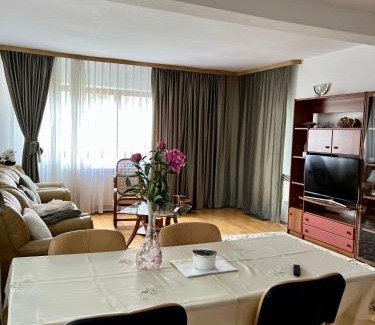 Baile Olanesti Apartment | Apartament Confort - Baile Olanesti