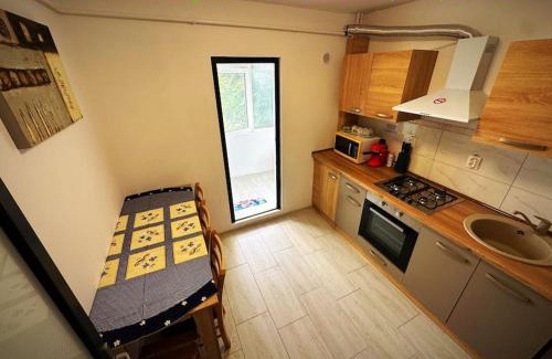 Botosani Apartment | Apartament cu 2 dormitoare decomandat/Utilat acceptam plata cu cardul oferim factura