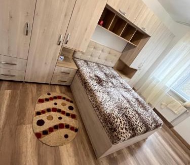 Dorohoi Apartment | Apartament cu o cameră