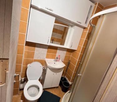 Dorohoi Apartment | Apartament cu o cameră