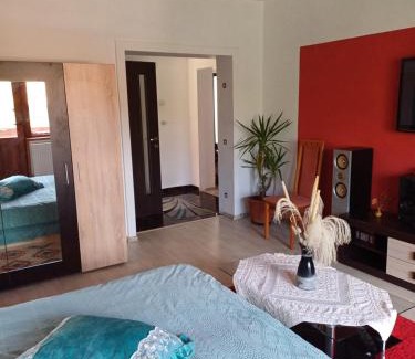 Calea Sever Bocu Apartment | Apartament cu terasa la casa Elena