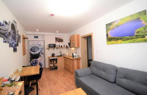 Bierutowice Apartment | Apartament De Luxe Emily Karpacz