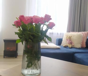 Ladek-Zdroj Apartment | Apartament FANABERIA Lądek Zdrój