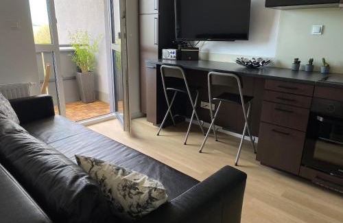 Klodzko Miasto Apartment | Apartament Flow