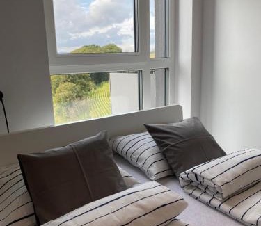 Klodzko Miasto Apartment | Apartament Flow