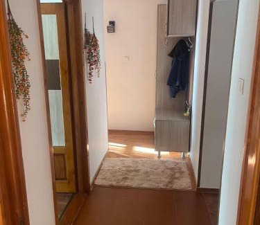 Vulcan Apartment | Apartament Gabriela