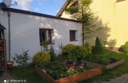 Gniezno Apartment | Apartament Gniezno - Mnichowo