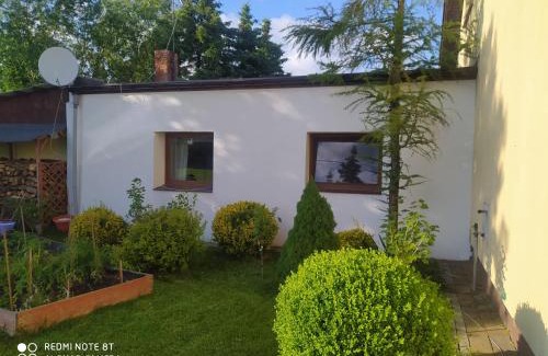 Gniezno Apartment | Apartament Gniezno - Mnichowo