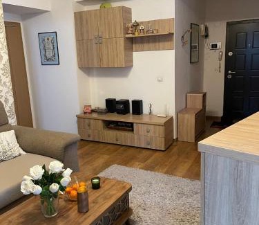 Vitan Apartment | Apartament Grădinarilor