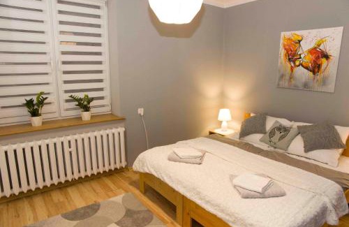 Zywiec Apartment | Apartament Grapa