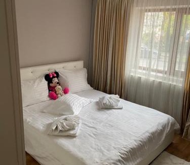 Targoviste Apartment | Apartament Gratziela