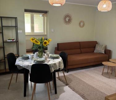 Zbiczno Apartment | Apartament Grzmięca pl