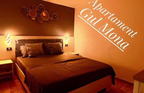 Saturn Apartment | Apartament Gul Mona Saturn