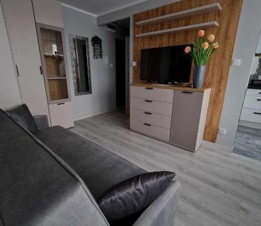Legnica Apartment | Apartament Gwiezdna 15