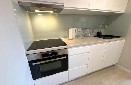Stare Miasto Apartment | Apartament Halo 3 w centrum Wroclawia