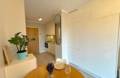 Stare Miasto Apartment | Apartament Halo 3 w centrum Wroclawia