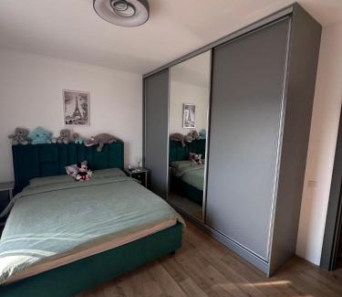 Dej Apartment | Apartament Icas