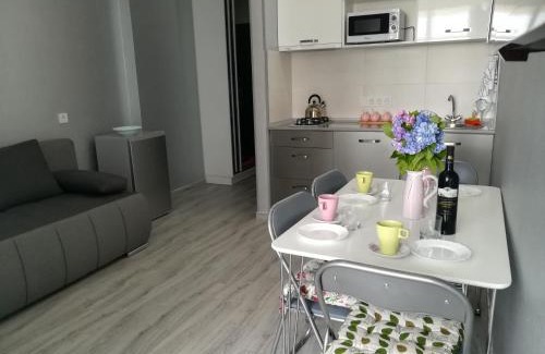 New Boulevard Apartment | Apartament in Real Pealce in Batumi,pirosmani street 18d flat 61 floor 9