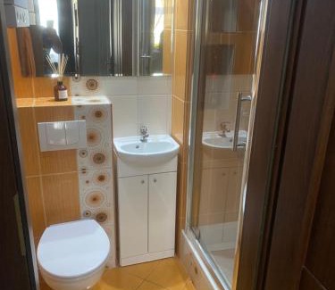 Centrum Apartment | Apartament Jedności