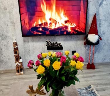 Jelenia Gora Apartment | Apartament Jelonek w Karkonoszach