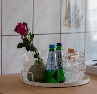Paczkow Apartment | Apartament Kama