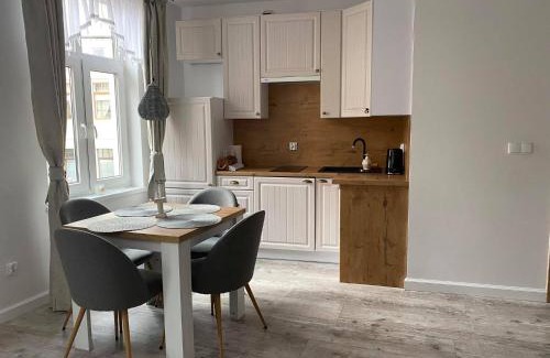 Polczyn-Zdroj Apartment | Apartament Kominkowy przy Parku